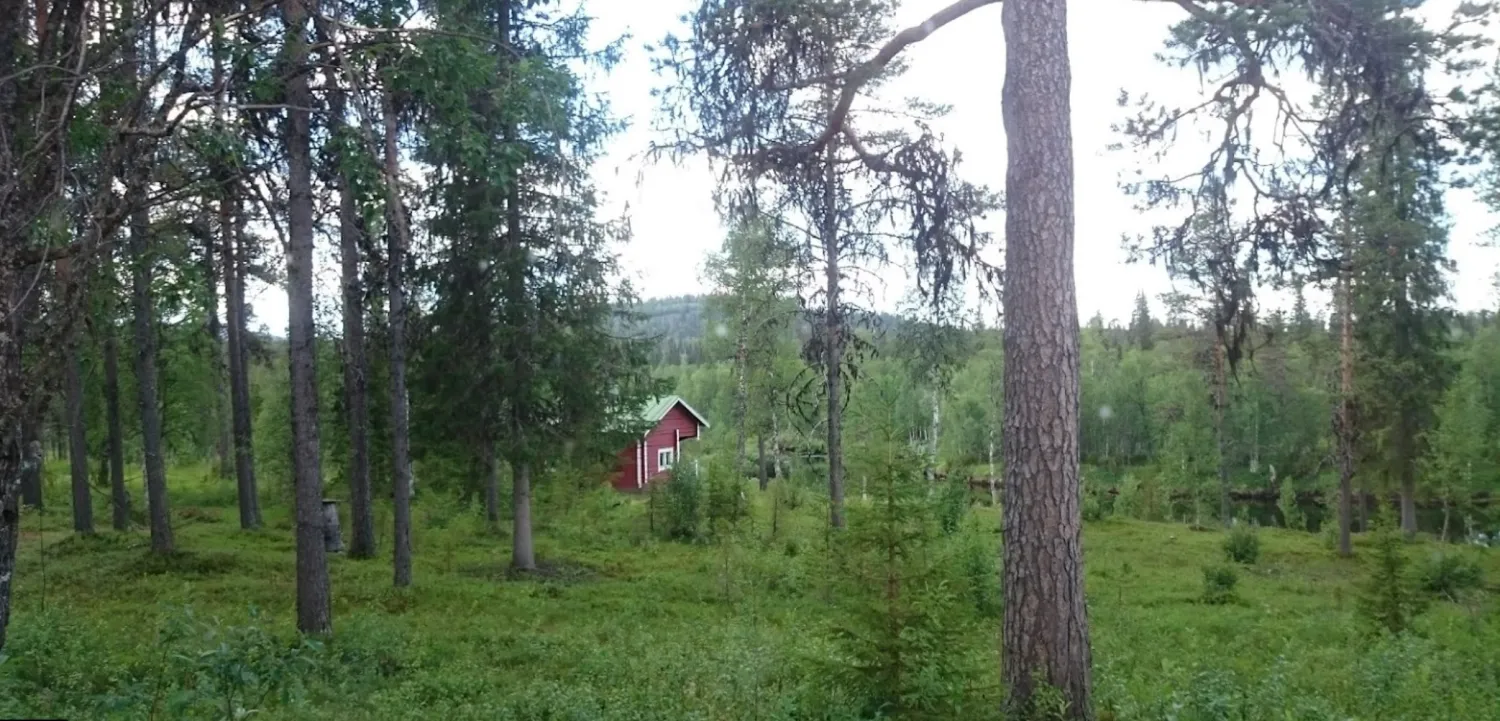 tuntsan-pubi-salla-vydxp