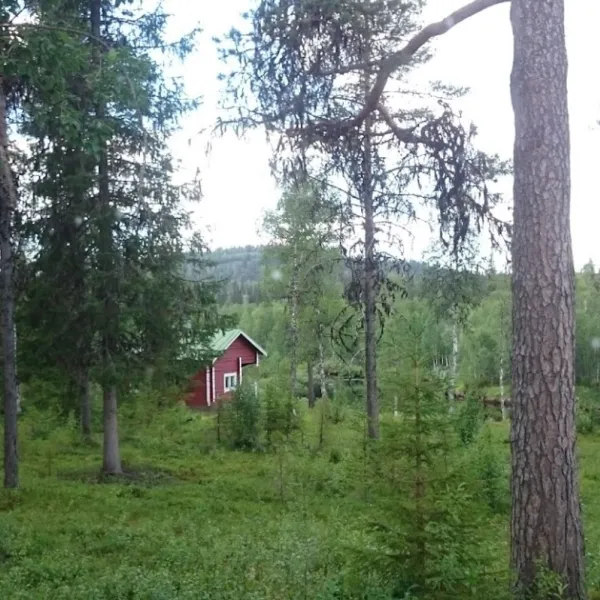 tuntsan-pubi-salla-vydxp