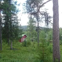 tuntsan-pubi-salla-vydxp