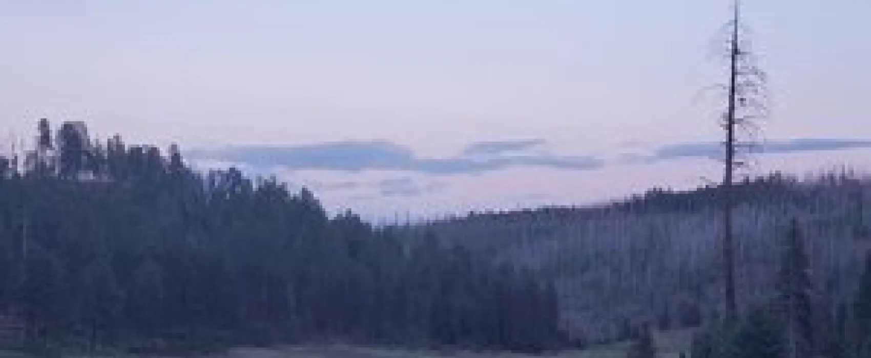 Hannagan Campground