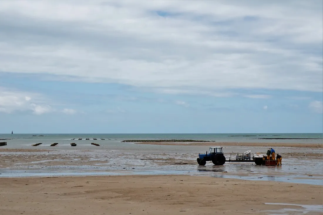 aire-naturelle-le-casrouge-agon-coutainville-qayck