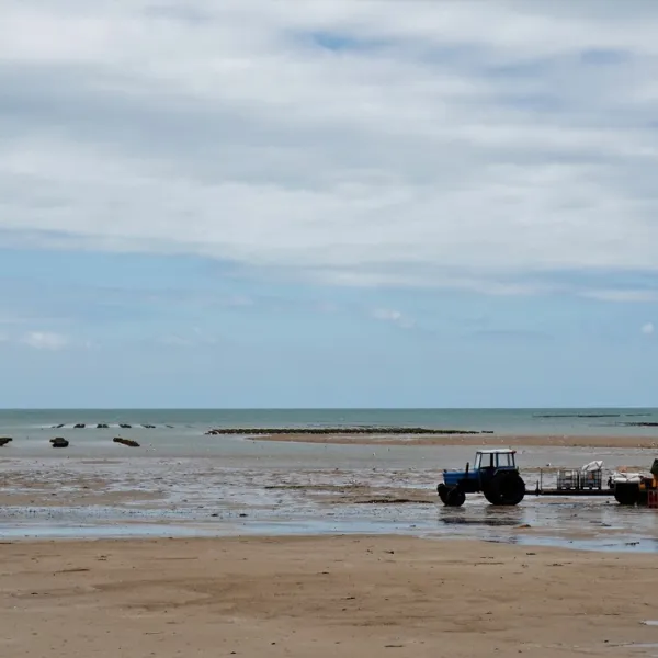 aire-naturelle-le-casrouge-agon-coutainville-qayck