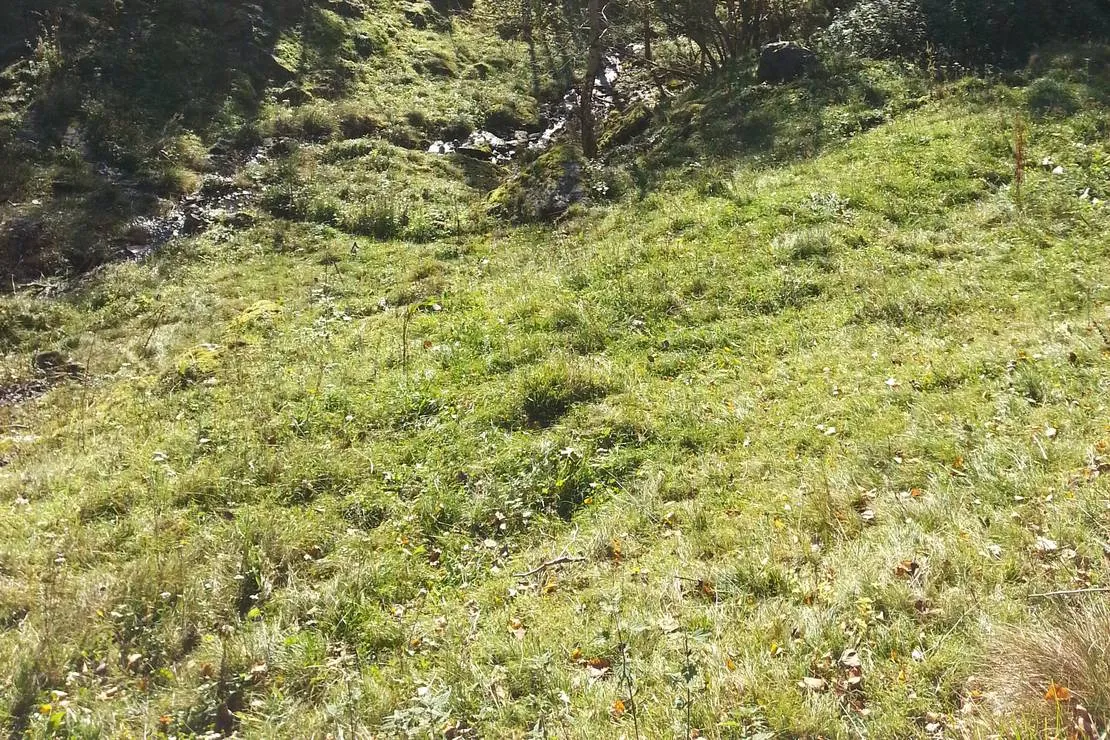 camping-vassel-gard-herand-jondal-mcppj