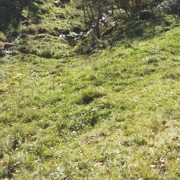 camping-vassel-gard-herand-jondal-mcppj