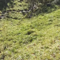 camping-vassel-gard-herand-jondal-mcppj
