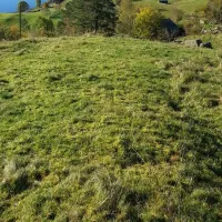 camping-vassel-gard-herand-jondal-qy6eh