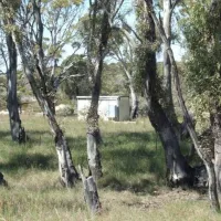 baan-hill-picnic-area-campground-ngarkat-fnejm