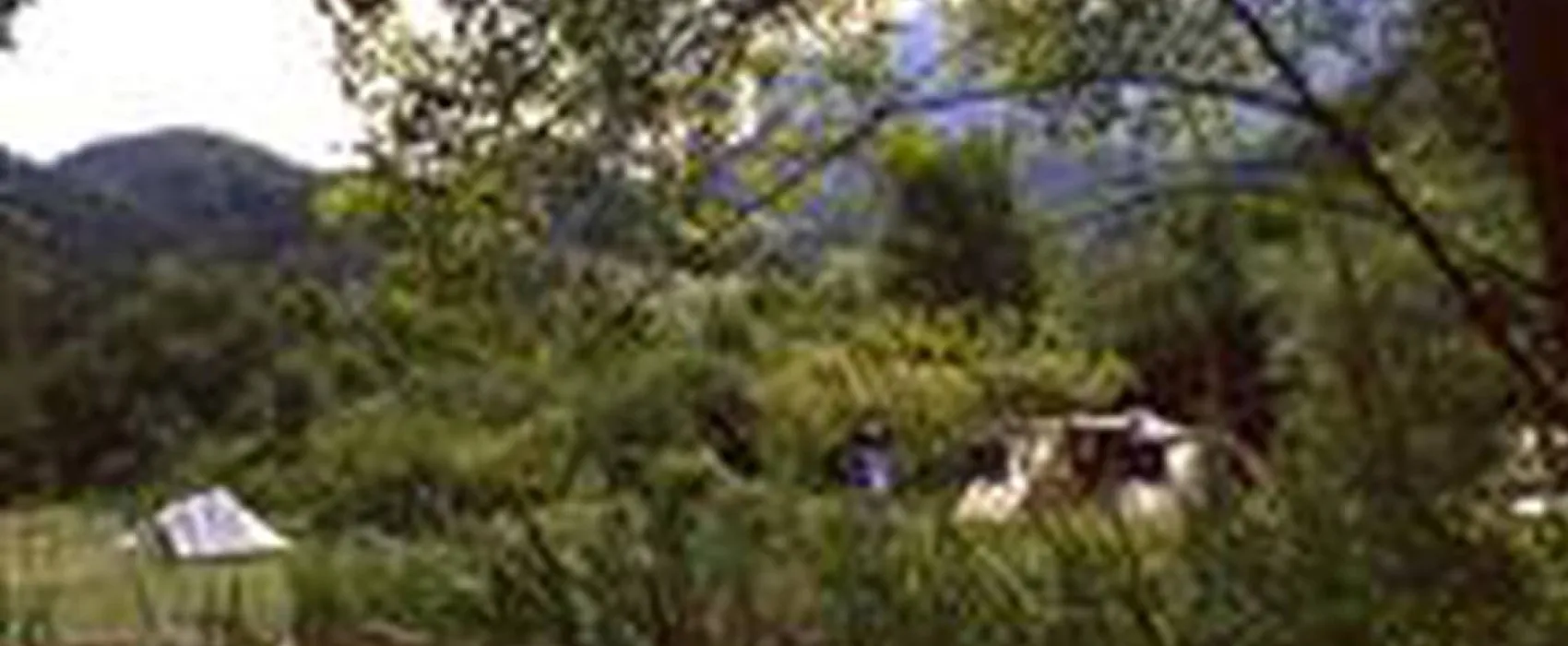 Camping La Motte, aire naturelle