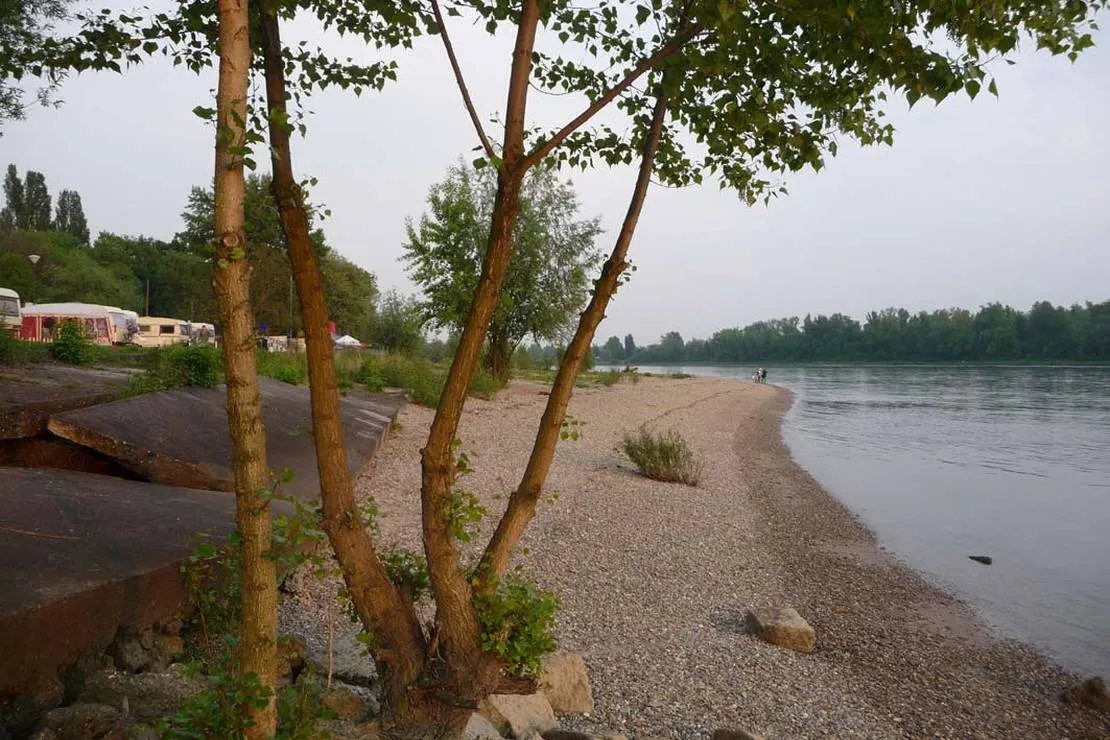 camping-am-strandbad-mannheim-neckarau-tp8fl