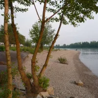 camping-am-strandbad-mannheim-neckarau-tp8fl