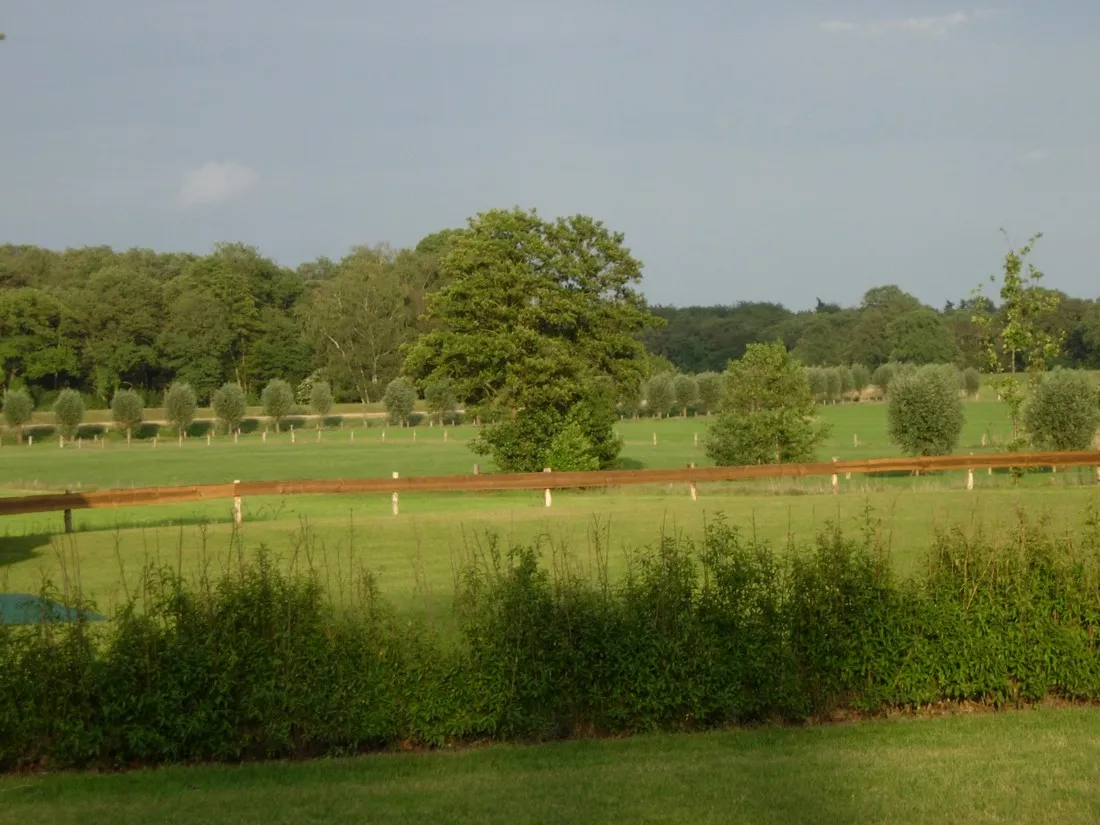de-jonge-butink-lemele-pcotf