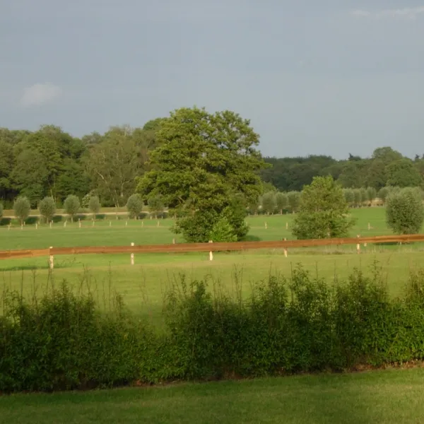 de-jonge-butink-lemele-pcotf