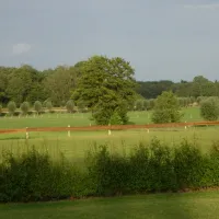 de-jonge-butink-lemele-pcotf