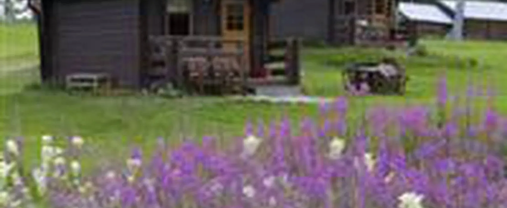 Bränna Camping