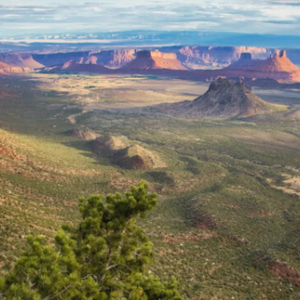 Porcupine Rim Dispersed Camping