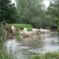 le-gue-savigny-sur-grosne-6ksfb