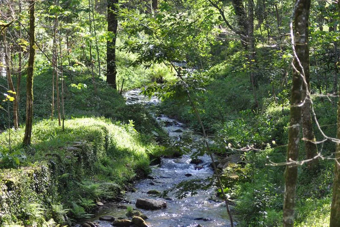 parque-de-campismo-e-caravanismo-termas-de-melgaco-melgaco-eyahf