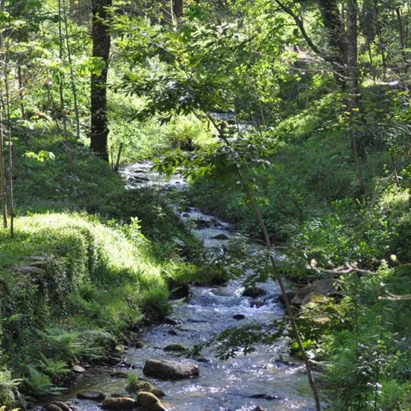 parque-de-campismo-e-caravanismo-termas-de-melgaco-melgaco-eyahf