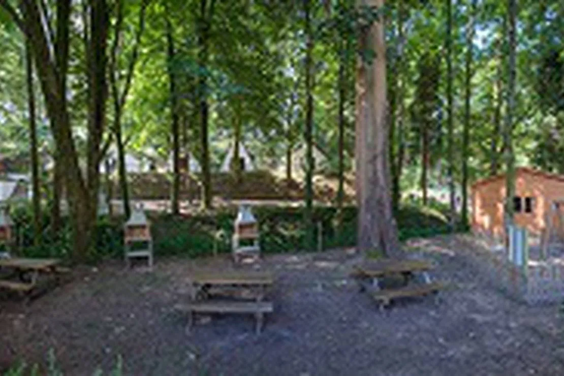 parque-de-campismo-e-caravanismo-termas-de-melgaco-melgaco-lwjuh