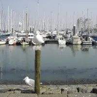 de-boshoeve-nieuwvliet-nieuwvliet-bad-oxbyi