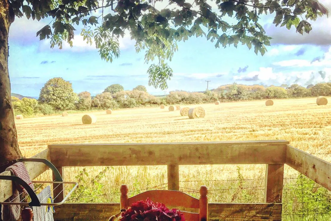 tregroes-caravan-camping-glamping-park-pembrokeshire-mzhbz