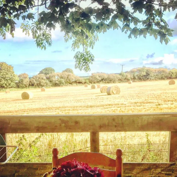 tregroes-caravan-camping-glamping-park-pembrokeshire-mzhbz