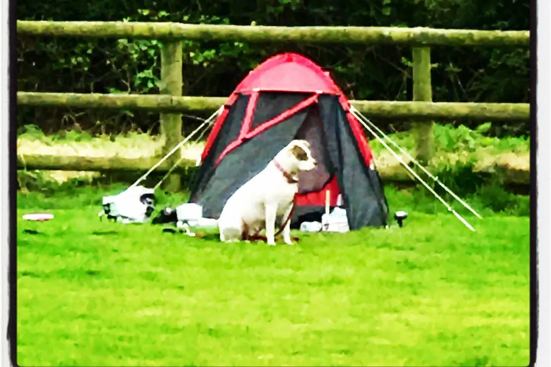 tregroes-caravan-camping-glamping-park-pembrokeshire-nx6mr