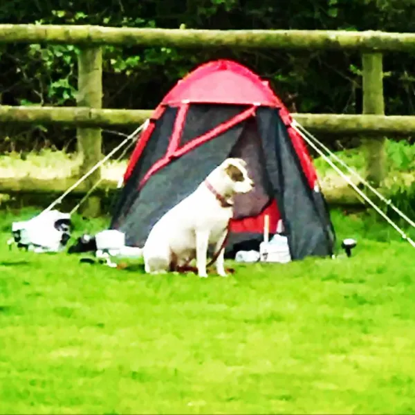 tregroes-caravan-camping-glamping-park-pembrokeshire-nx6mr