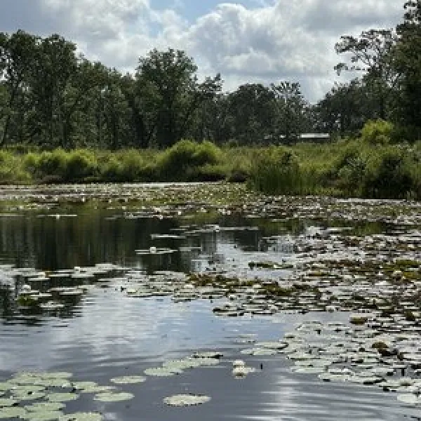 Camp Langston RV Resort