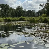 camp-langston-rv-resort-mt-pleasant-1ljjj