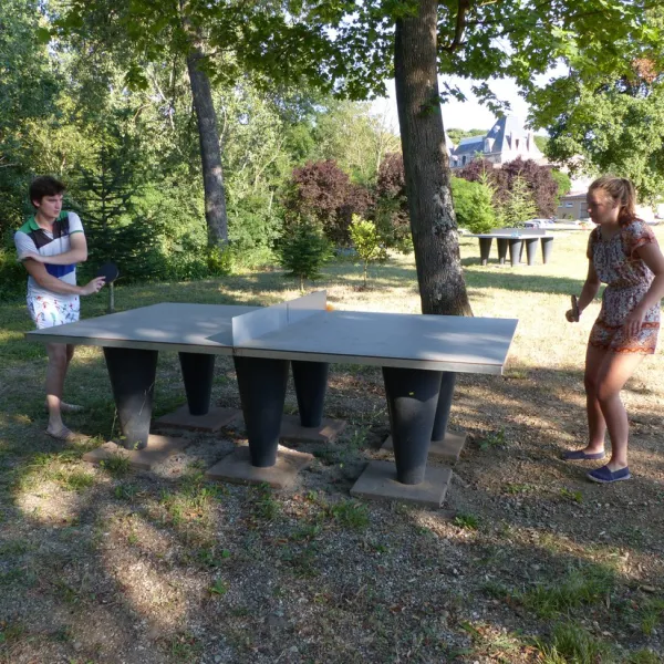 chateau-de-senaud-albon-drome-1qala