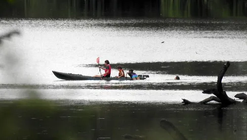 ponto-falls-reserve-campground-maryvale-rrdba