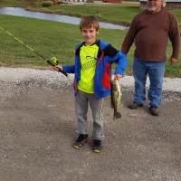 Buena Vista Farms, Inc - Campgrounds & Resort
