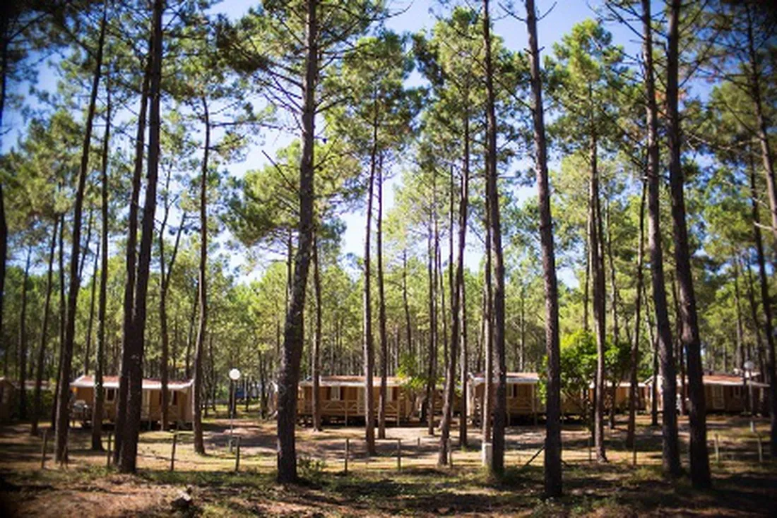 campeole-les-tourterelles-st-girons-plage-landes-twqlx