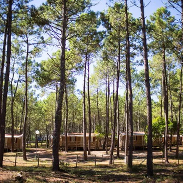 campeole-les-tourterelles-st-girons-plage-landes-twqlx
