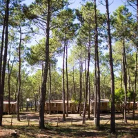 campeole-les-tourterelles-st-girons-plage-landes-twqlx