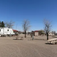 81 Palms Senior RV Resort