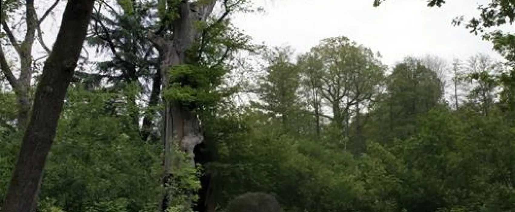 CAMPINGPLATZ HEIDENAU