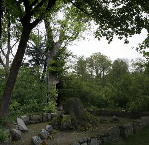 campingplatz-heidenau-heidenau-evyzh