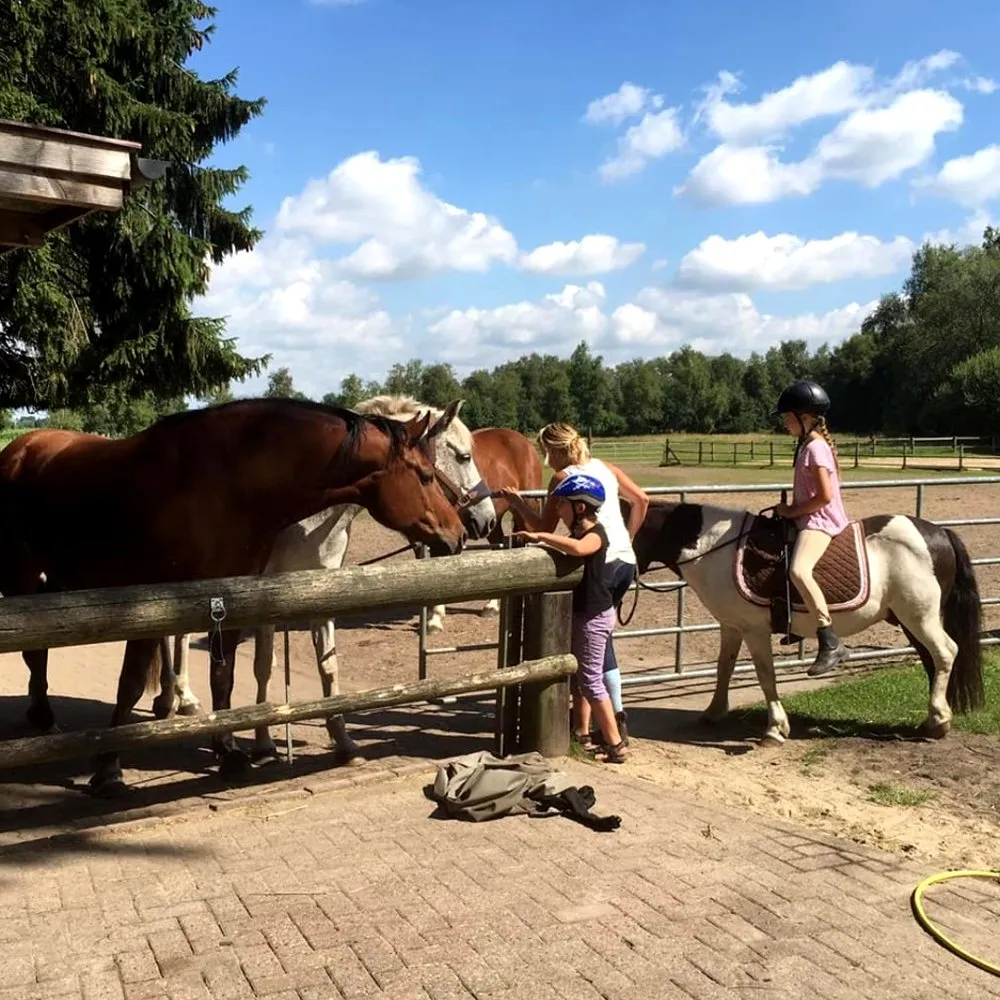 campingplatz-heidenau-heidenau-wlnk1