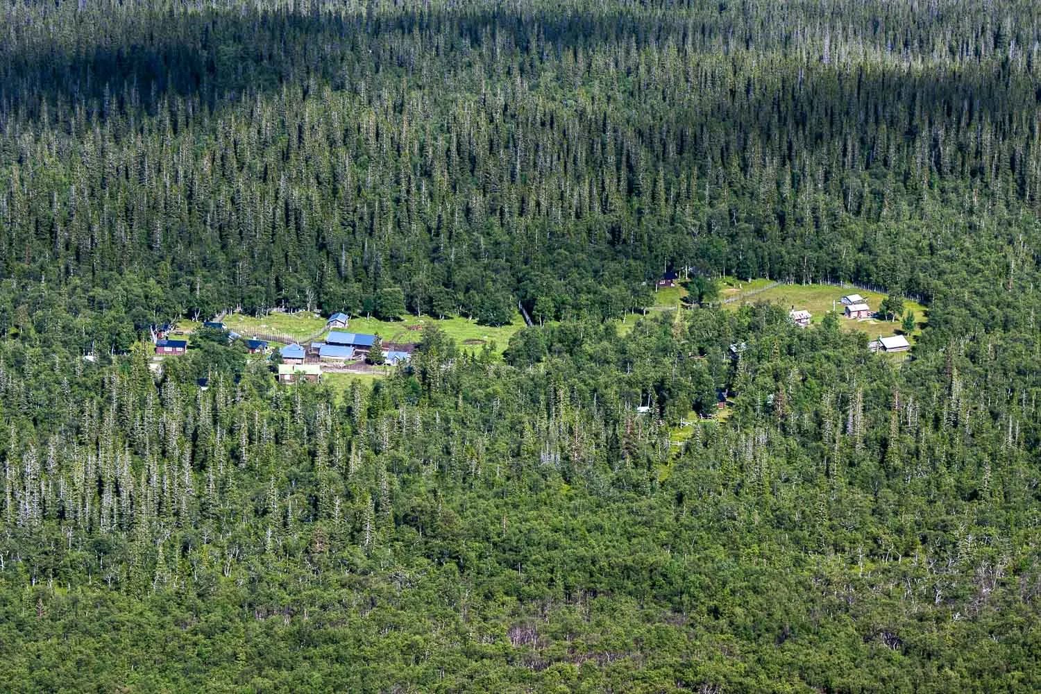 nyvallens-fabod-sonfjallets-nationalpark-hede-ghw4y