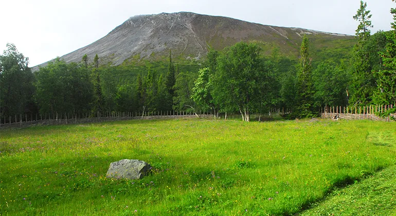 nyvallens-fabod-sonfjallets-nationalpark-hede-unh8h