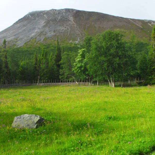 nyvallens-fabod-sonfjallets-nationalpark-hede-unh8h