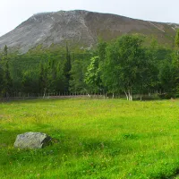 nyvallens-fabod-sonfjallets-nationalpark-hede-unh8h
