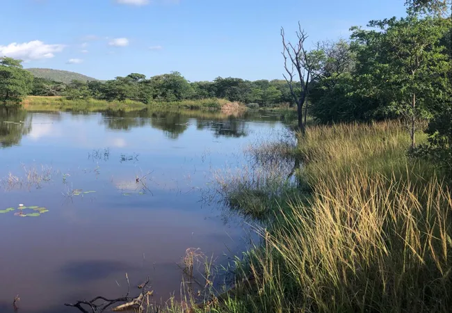 lakeside-cabin-farm-buffelsfontein-kq237-vaalwater-4uxce