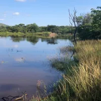 lakeside-cabin-farm-buffelsfontein-kq237-vaalwater-4uxce