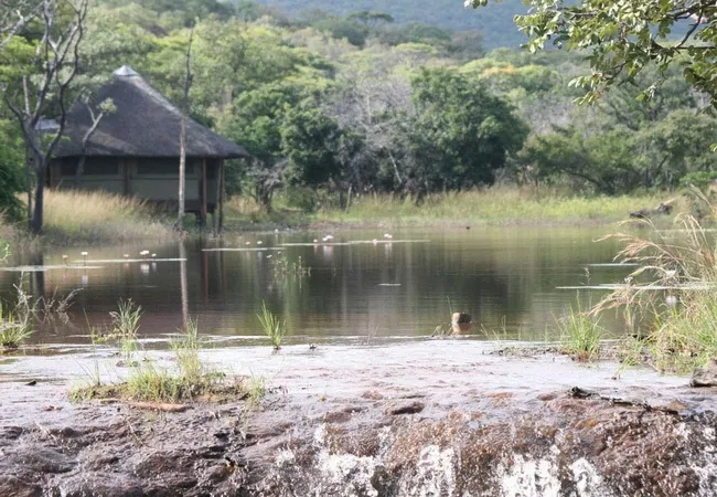 lakeside-cabin-farm-buffelsfontein-kq237-vaalwater-bvrgn