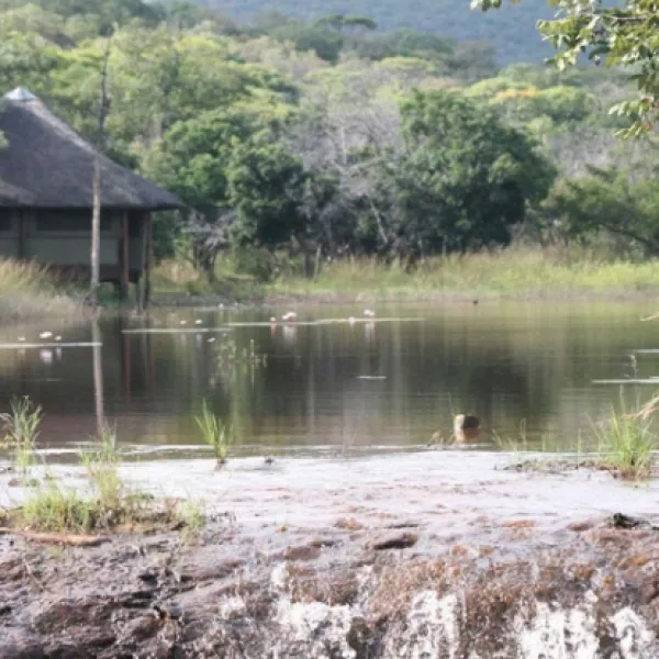 lakeside-cabin-farm-buffelsfontein-kq237-vaalwater-bvrgn