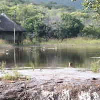 lakeside-cabin-farm-buffelsfontein-kq237-vaalwater-bvrgn