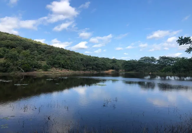 lakeside-cabin-farm-buffelsfontein-kq237-vaalwater-tfyoo